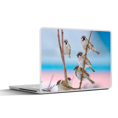 Produktbild von MuchoWow® Laptop Aufkleber Sticker Cover Vögel - Spatz - Tiere - Äste 25x18 cm - Laptop-Deko