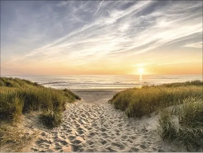 Produktbild von Leinwandbild Weg zum Strand 77x57 cm