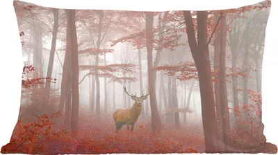 Produktbild von MuchoWow® Zierkissen Sofakissen Wohnzimmer Dekokissen 50x30 cm Hirsche - Wald - Rot - Herbst - Wohnzimmerdekoration - Polster mit Photo
