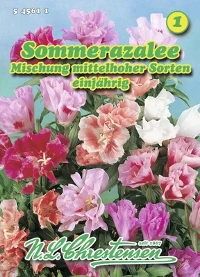 Produktbild von Sommerazalee Mischung mittelhoher Sorten | Azaleensamen von N.L. Chrestensen