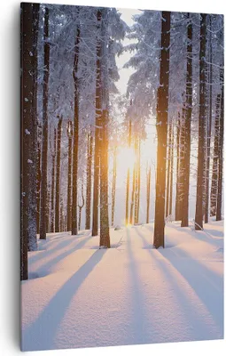 Produktbild von Bild auf Leinwand - Leinwandbild - Einteilig - Wald Winter Schnee - 80x120cm - Wand Bild - Wanddeko - Wandbilder - Leinwanddruck - Wanddekoration - Leinwand bilder - Wandbild - PA80x120-3629