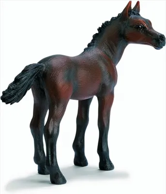 Produktbild von Schleich 13276 Araber Fohlen
