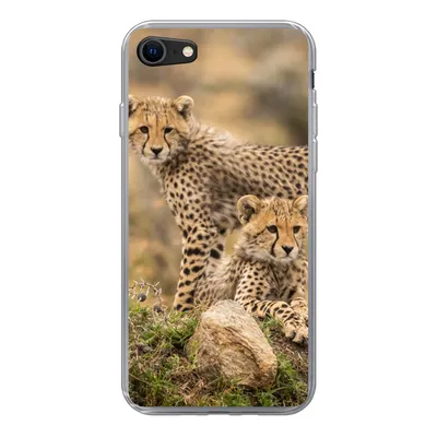 Produktbild von MuchoWow® Handyhülle Schutzhülle Hülle für iPhone 8 Leopard - Jungtier - Natur Silikon Softcase Handy Hülle - Schutzhaube