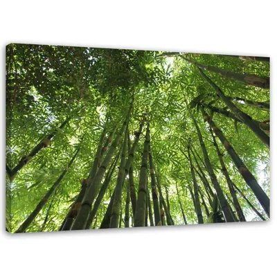 Produktbild von Leinwandbild bambuswald 60x40 cm Feeby grün wandbild bereit zum aufhängen