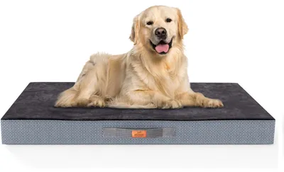 Produktbild von BedDog Ortho Hundematte,75x45x8 cm,GREY (grau)