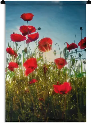 Produktbild von MuchoWow® Wandteppich Wandbehang Mohnblumen - Toskana - Sonne - Rot - Blau 90x135 cm Tapisserie Dekoration Wandtuch - Baumwolle - Wandskulptur