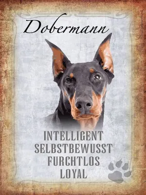 Produktbild von vianmo Holzschild 40x30 cm Dobermann Hund loyal