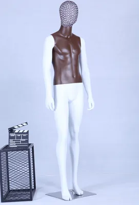 Image de AB+99W Mannequin blanc laqué mat Poitrine brune de haute qualité Grille métallique Tête avec plaque métallique Homme
