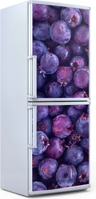 Produktbild von Kühlschrankdekoration 70x180 cm Aufkleber auf dem Kühlschrank - Schattenbeere Obst