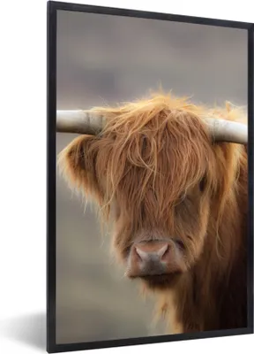 Produktbild von MuchoWow® Gerahmtes Poster Schottischer Highlander - Hörner - Haare 40x60 cm - Poster mit Schwarzem Bilderrahmen Wandposter Rahmen Foto Bilder - Papierdruck - Wandbilder