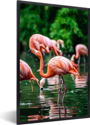 Produktbild von MuchoWow® Gerahmtes Poster Flamingo - Tropisch - Vogel - Wasser - Rosa 60x90 cm - Poster mit Schwarzem Bilderrahmen Wandposter Rahmen Foto Bilder - Kunst
