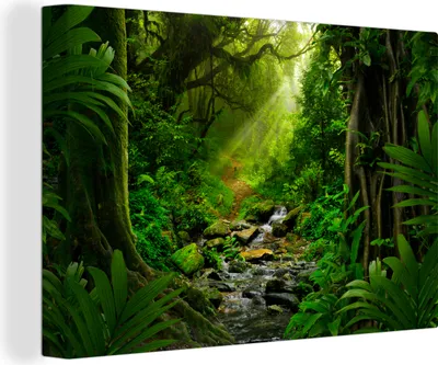 Obrázok produktu pre OneMillionCanvasses® - Obrazy na plátne - 140x90 cm, Džungľa - Voda - Listy - Slnko - Príroda, Nástenná umelecká tlač Nástenná dekorácia - Fotografia na plátne - Obraz na drevenom ráme