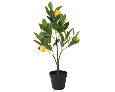 Produktbild von Gilde Kunstpflanze Zitronenbaum im Topf VE 6 99415