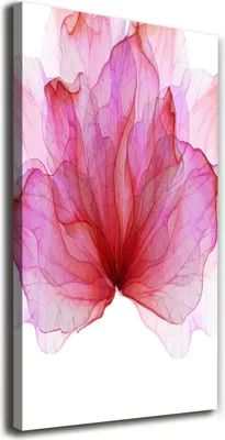 Immagine prodotto di Tulup Leinwandbild® - 70x140 cm - Opera d'arte da parete - Stampe su tela - Stampa su tela - Decorazione da parete per soggiorno di grandi dimensioni - Stampe artistiche per la casa - Fiori e piante - Rosa - Fiore rosa
