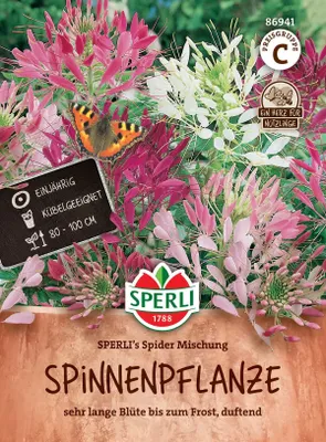 Produktbild von SPERLI Spinnenpflanzensamen Spider Cleome spinosa 100 Pflanzen