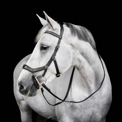 Zdjęcie produktu dla Ogłowie Horseware Micklem Multi