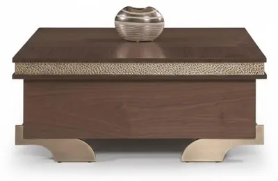 Produktbild von Brauner Couchtisch Modern Luxury Stil Holzrahmen Goldenen Akzenten