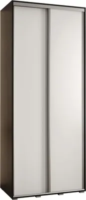 Produktbild von MEBLE KRYSPOL Davos 1 Schrank, zwei Türen - 235,2x110x45 cm - Schwarz Weiß Silber