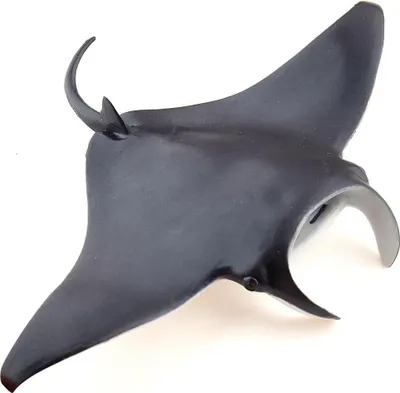 Immagine prodotto di Papo Wild Life Mantarog 56006