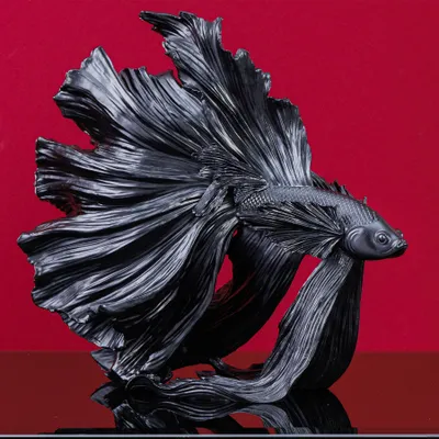 Produktbild von Design Deko Figur Kampffisch CROWNTAIL 35cm schwarz Betta Fisch Skulptur