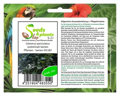 Produktbild von 10x Celastrus paniculatus Jyotishmati Garten Pflanzen - Samen ID1182