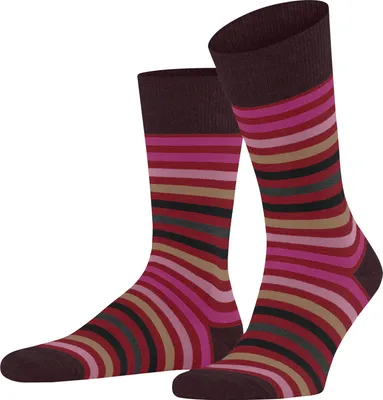 Produktbild von FALKE Tinted Stripe Socken Herren 8077 - ingle 39-42