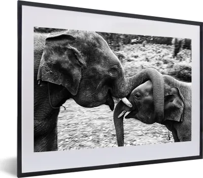 Produktbild von MuchoWow® MuchoWow® Gerahmtes Poster Elefant - Tiere - Natur - Schwarz und weiß 60x40 cm - Poster mit zchwarzem Bilderrahmen - Schlafzimmer - Plakat in Rahmen - Drucken