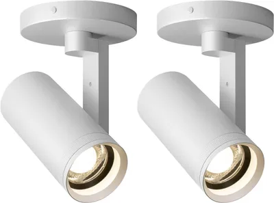 Zdjęcie produktu dla Reflektor sufitowy LED 12W Aisilan MS010a regulowany biały obrotowy 2 szt