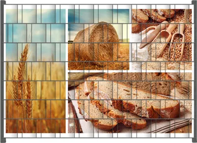 Produktbild von Wallario Zaunsichtschutz mit Motiv Weizen und Mehl  Vom Korn zum Brot für Ein- und Doppelstabmatten Zäune in der Größe 200 x 140 cm