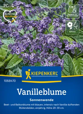 Artikelbild 2 von 'Vanilleblume Sonnenwende' aus der Kategorie Blumensamen