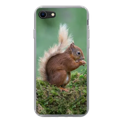 Produktbild von MuchoWow® Handyhülle Schutzhülle Hülle für iPhone 7 Waldtier - Eichhörnchen - Moos Silikon Softcase Handy Hülle - Kartenhalter
