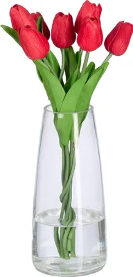 Image de Vase Relaxdays, vase en verre pour fleurs, vase de table en verre, grand vase à fleurs, vase décoratif, dimensions H x P : 21,5 x 10 cm, transparent