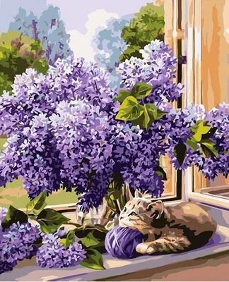 Obrázok produktu pre Maľovanie podľa čísel Bez 40 x 50 cm