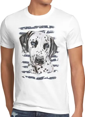 Produktbild von style3 Dalmatiner Herren T-Shirt hundeliebhaber züchter sommer feuerwehr hund