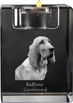 Immagine prodotto di Art-Dog Portacandela tealight – Redbone Coonhound