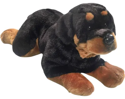 Obrázok produktu pre Carl Dick Rotvajler pes ležiaci cca 40cm plyšák, mäkká hračka, plyšová hračka 3656
