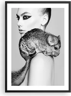 Produktbild von Gerahmtes Poster - Schwarzer Rahmen - Chinchilla Frau Porträt - 50x70 cm - Wand Bild - Wanddeko - Wandbilder - Wandposter - Bilderrahmen - Bilder - Kunstdruck - Wandbild - P2BPA50x70-4278