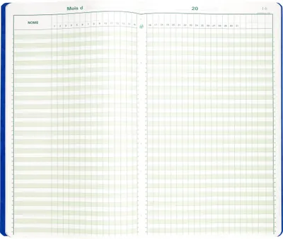 Produktbild von Exacompta PIQ. 4024 POINTAGE 80 PAGES - Farben sortiert 9340E