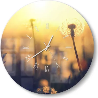 Produktbild von DEQORI Glasuhr Ø50 cm Römisch 'Pusteblumenwiese' Wanduhr Glas Uhr Design leise
