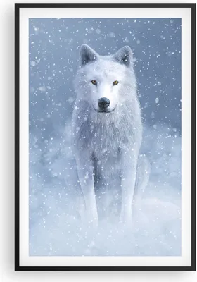 Produktbild von Gerahmtes Poster - Schwarzer Rahmen - Weiß Wolf Schnee - 61x91,5 cm - Wand Bild - Wanddeko - Wandbilder - Kunstposter - Wandposter - Bilderrahmen - Bilder - Kunstdruck Wanddekoration - P2BPA61x91-5006