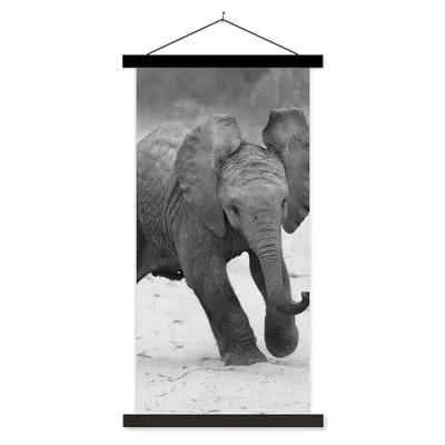 Produktbild von MuchoWow® Textilposter Elefant - Baby - Tiere - Kröte - Schwarz und weiß 40x80 cm mit schwarzem Rahmen - Wandemalerei