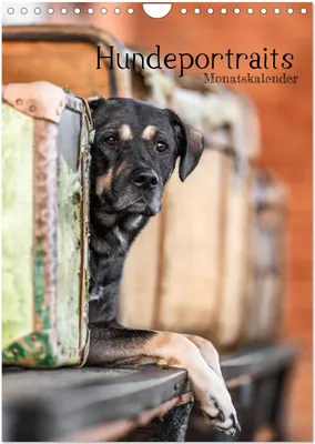 Produktbild von Hundeportraits - Monatskalender (Wandkalender 2026 DIN A4 hoch), CALVENDO Monatskalender
