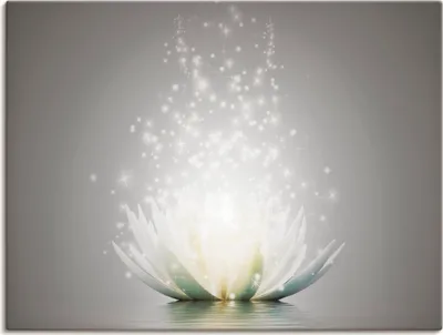 Produktbild von ARTland Leinwandbild Magie der Lotus-Blume - grau Größe: 80x60 cm