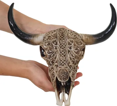 Produktbild von Deko Schädel 31cm HWC-C15, Polyresin Stier Bulle Longhorn Kopf Trophäe mit Tribal, In-/Outdoor