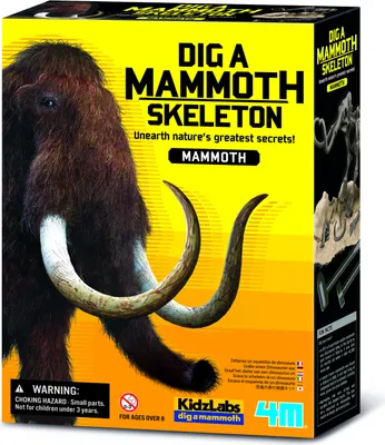 Produktbild von Lernset Grabe und entdecke Dinosaurier – Mammut