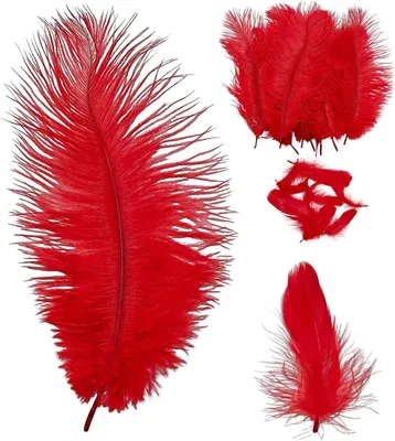 Imagen del producto de Juego de plumas de avestruz y ganso, 20 unidades, color rojo, para manualidades