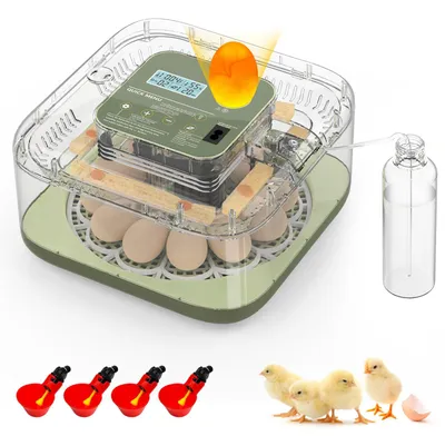 Brutmaschine für 12 Eier, automatische Drehung, LED-Durchleuchtung