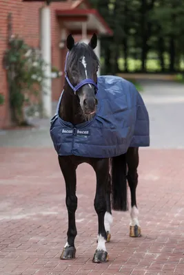Produktbild von Bucas Unterdecke Liner 300g Navy 145
