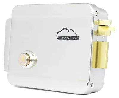Productafbeelding van Silvercloud Yl500 Elektromagnetisch slot, zilverkleurig. Eén maat