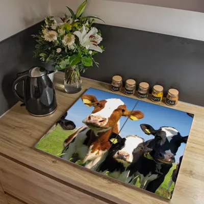 Produktbild von banjado Herdabdeckplatte zweiteilig je 30x52cm groß mit Gummi Abstandshalter, ESG Sicherheitsglas mit Motiv Kühe [HAP2 10225]